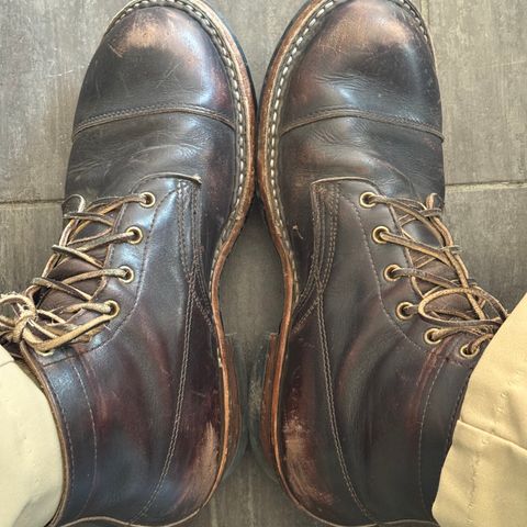 White's Semi-Dress in Seidel Black Dress