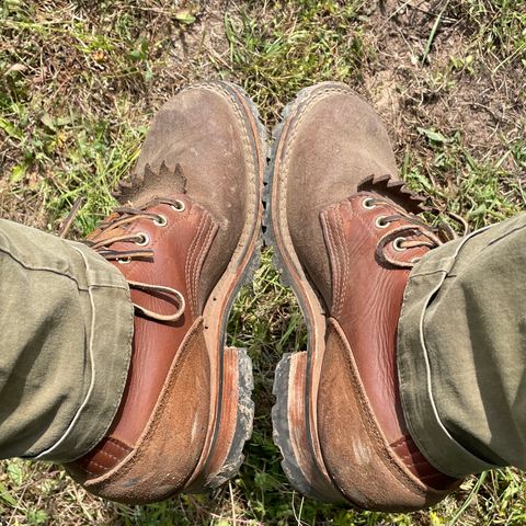 Nicks BuilderPro in Seidel 1964 Brown