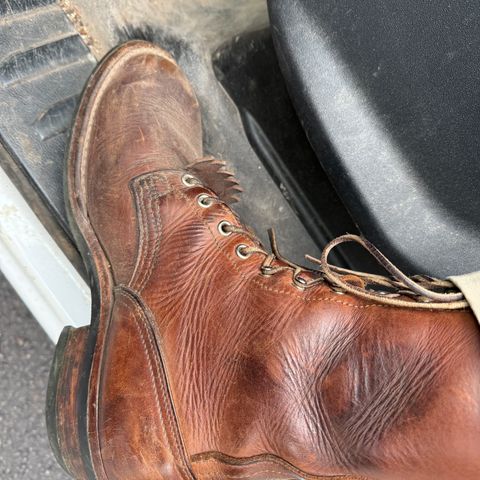 Nicks BuilderPro in Seidel 1964 Brown
