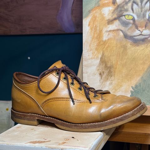 Wesco JH Classic in Wickett & Craig Russet Traditional Harness