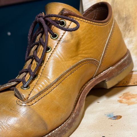 Wesco JH Classic in Wickett & Craig Russet Traditional Harness