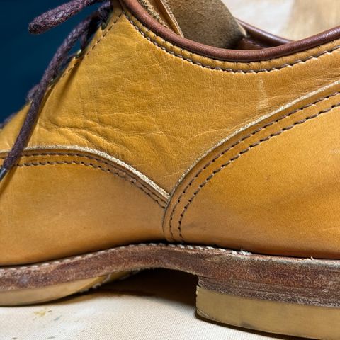Wesco JH Classic in Wickett & Craig Russet Traditional Harness