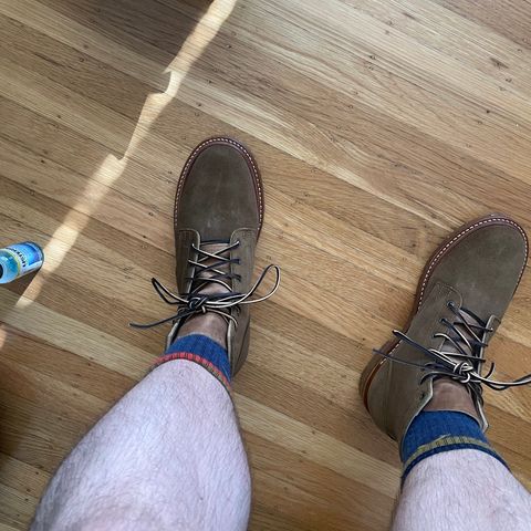 Truman Plain Toe Boot in Dark Coyote Roughout