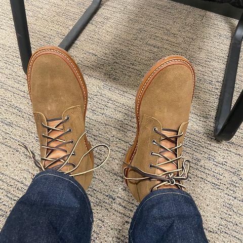 Truman Plain Toe Boot in Dark Coyote Roughout