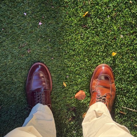 Alden Indy Boot in Horween Cigar Shell Cordovan