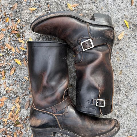 Zerrows Type One in Maryam Black Horsebutt