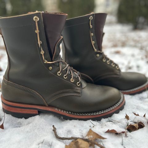 Nicks Overlander in Shackleton Greener Pastures