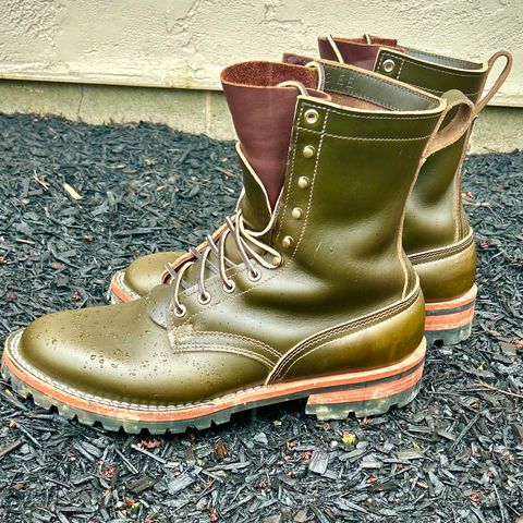 Nicks Overlander in Shackleton Greener Pastures