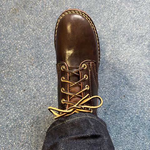 Nicks Comstock in Horween Dark Brown Aspen