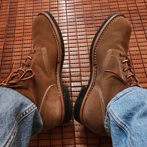 XBXS Boondocker in Prime Asia Roughout