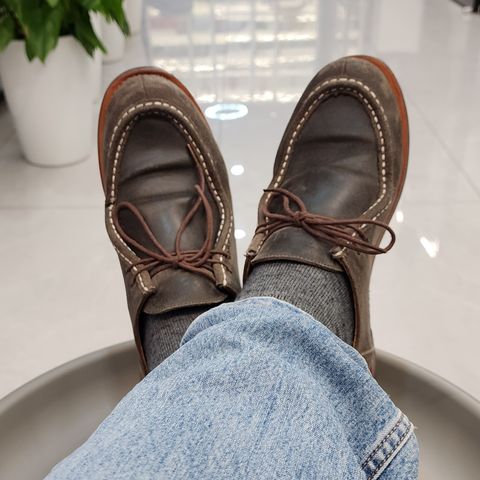 Shonest Tyrolean Shoe in C.F. Stead Storm Waxy Commander Suede