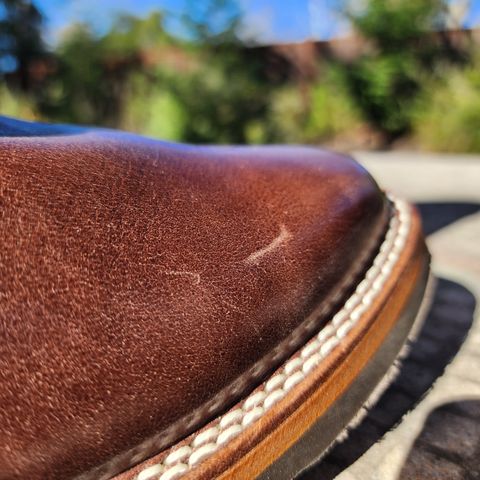 Wesco Mister Lou in Brown Horsehide