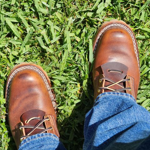Nicks Urban Logger in Italian Brown Cypress