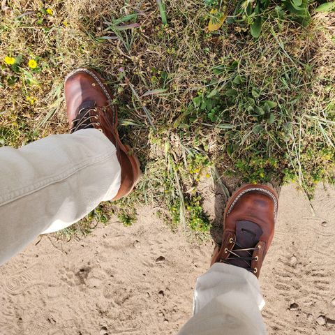 Nicks Urban Logger in Italian Brown Cypress