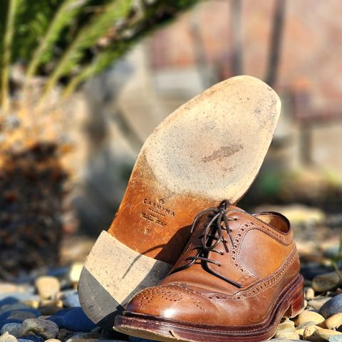 Carmina Long Wing Blucher Shoes 532 in Horween Armagnac Shell Cordovan