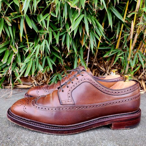 Carmina Long Wing Blucher Shoes 532 in Horween Armagnac Shell Cordovan