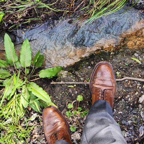Carmina Long Wing Blucher Shoes 532 in Horween Armagnac Shell Cordovan