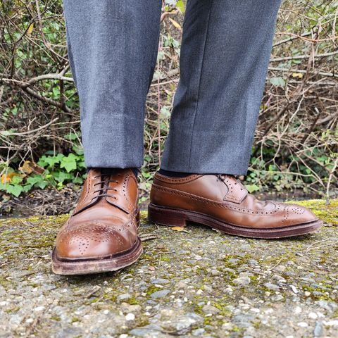 Carmina Long Wing Blucher Shoes 532 in Horween Armagnac Shell Cordovan