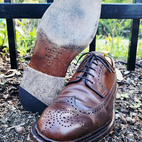 Carmina Long Wing Blucher Shoes 532 in Horween Armagnac Shell Cordovan