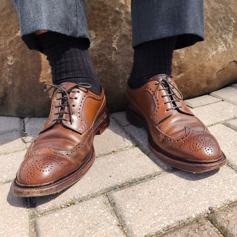 Carmina Long Wing Blucher Shoes 532 in Horween Armagnac Shell Cordovan