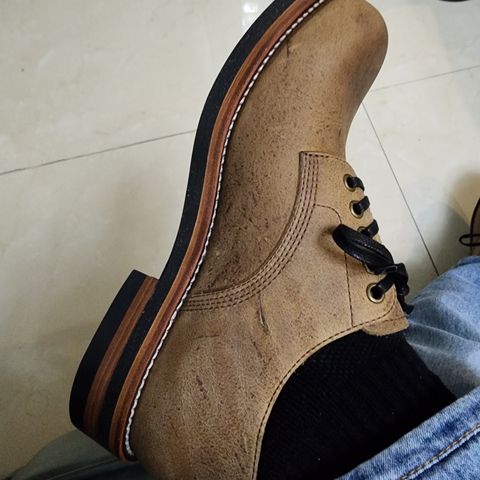 Gresgris C03 in C.F. Stead Camel Kudu Classic
