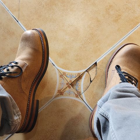 Gresgris C03 in C.F. Stead Camel Kudu Classic