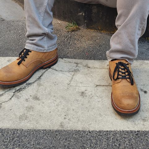 Gresgris C03 in C.F. Stead Camel Kudu Classic