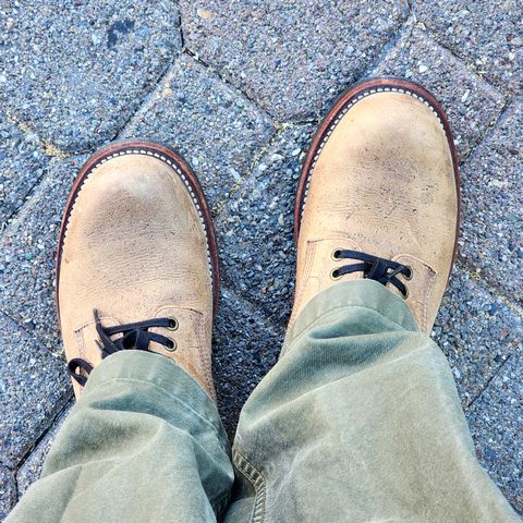Gresgris C03 in C.F. Stead Camel Kudu Classic