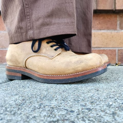 Gresgris C03 in C.F. Stead Camel Kudu Classic