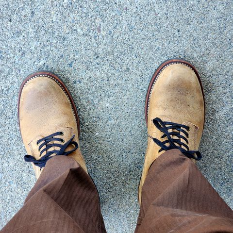 Gresgris C03 in C.F. Stead Camel Kudu Classic