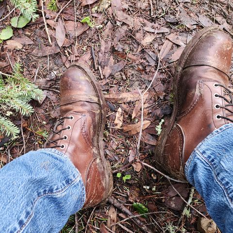 Red Wing Iron Ranger in S.B. Foot Amber Harness