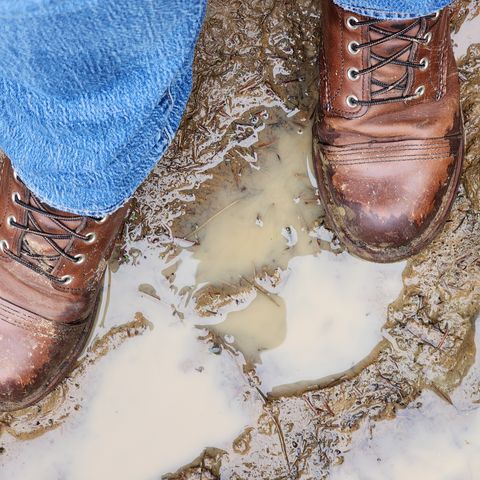 Red Wing Iron Ranger in S.B. Foot Amber Harness