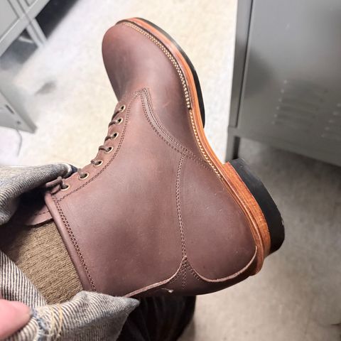 Tahura Altilis in Hoween Kudu CXL Steerhide