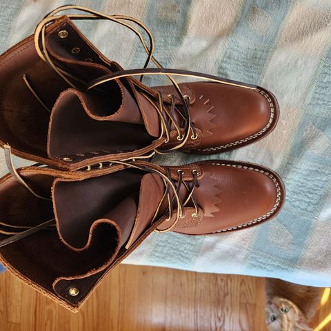 Nicks Ranger in Seidel 1964 Brown