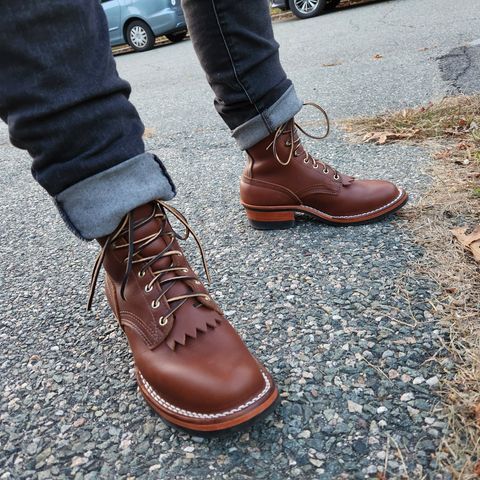 Nicks Ranger in Seidel 1964 Brown