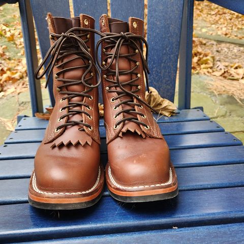 Nicks Ranger in Seidel 1964 Brown