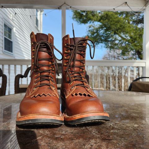 View photo of Nicks Ranger in Seidel 1964 Brown