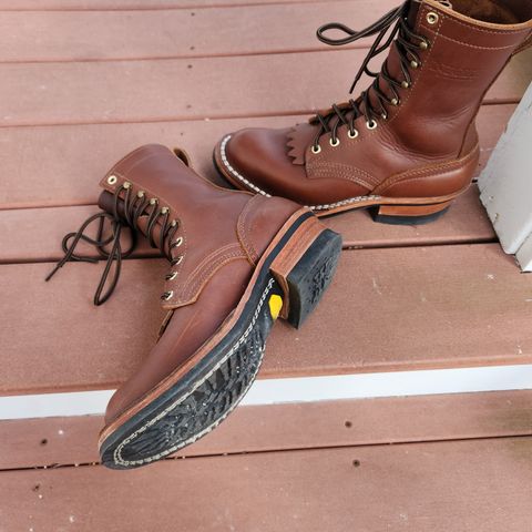 Nicks Ranger in Seidel 1964 Brown