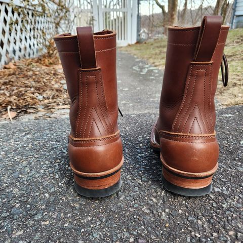 Nicks Ranger in Seidel 1964 Brown