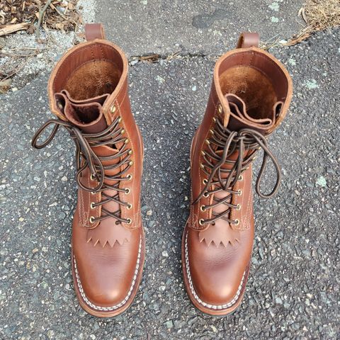 Nicks Ranger in Seidel 1964 Brown