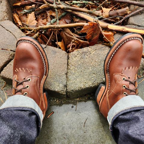 Nicks Ranger in Seidel 1964 Brown