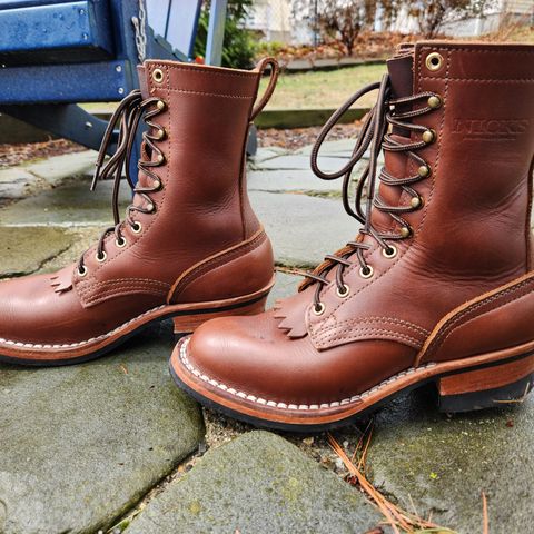 Nicks Ranger in Seidel 1964 Brown