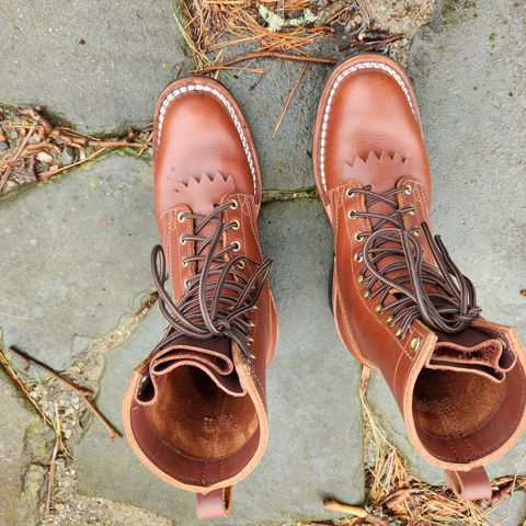 Nicks Ranger in Seidel 1964 Brown