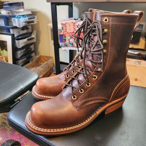 Nicks Robert in Italian Brown Cypress