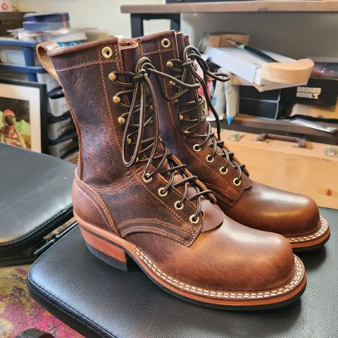 Nicks Robert in Italian Brown Cypress
