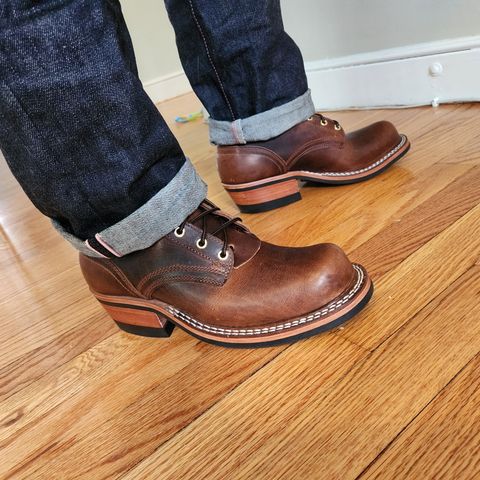 Nicks Robert in Italian Brown Cypress