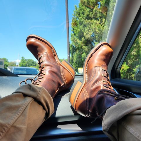 Nicks Robert in Italian Brown Cypress