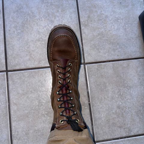 White's Fulton in Brown Distress