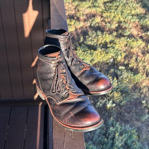 Red Wing Blacksmith in S.B. Foot Black Prairie