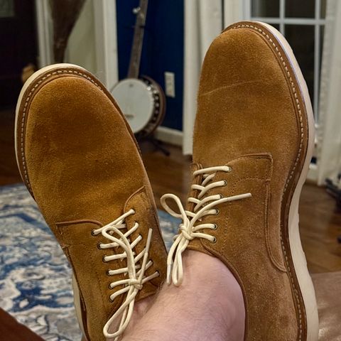 Viberg Viberg X Division Road Derby Shoe in C.F. Stead Anise Kudu Reverse